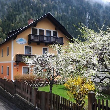 Saeuleck Appartement Inkl Skibus Mallnitz Dış mekan fotoğraf