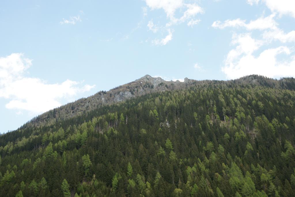 Saeuleck Appartement Inkl Skibus Mallnitz Dış mekan fotoğraf