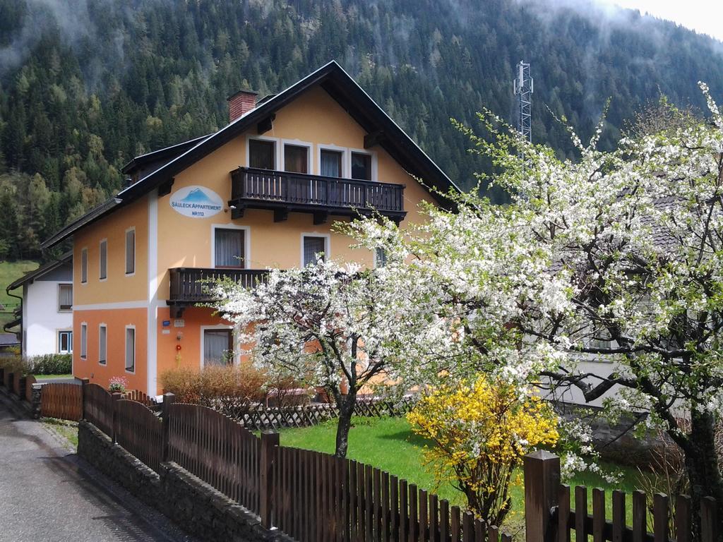 Saeuleck Appartement Inkl Skibus Mallnitz Dış mekan fotoğraf